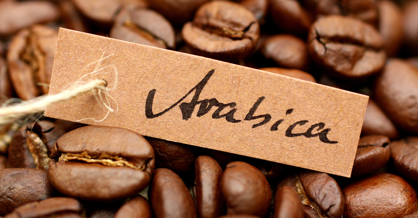 ziarna kawy z karteczka arabica