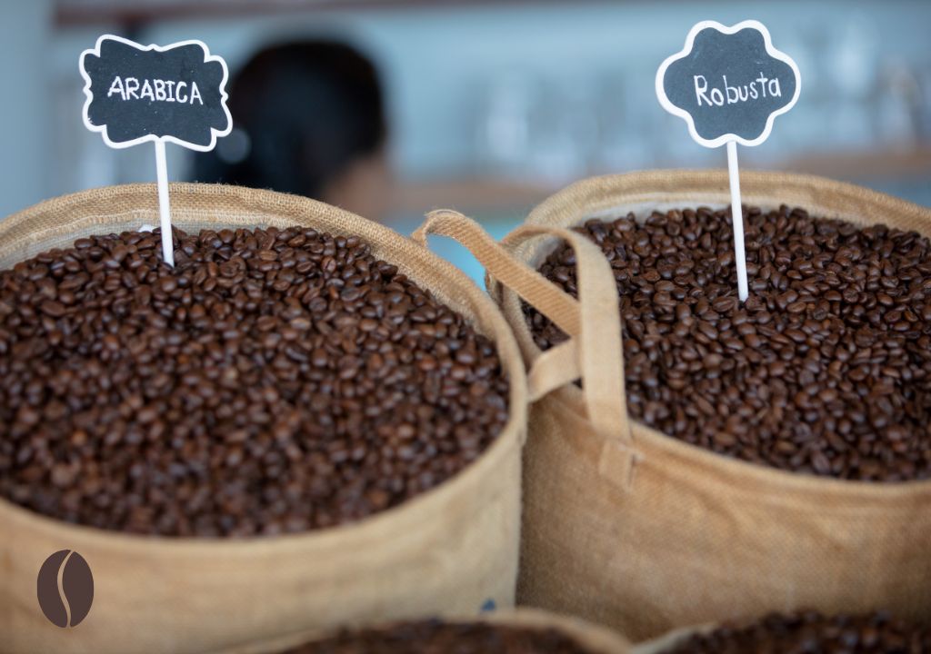 dwa worki z ziarnami kawy - arabica i robusta