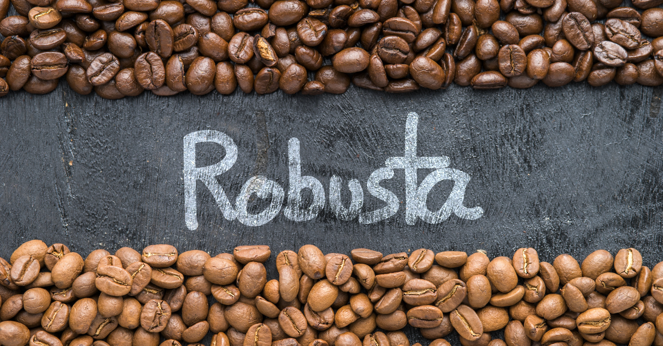 ziarna kawy z tabliczka robusta