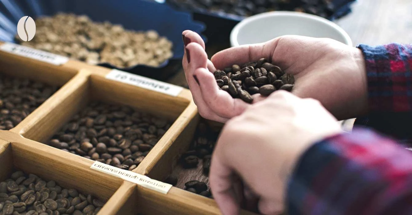 Ziarna_kawy_na_dloni_rozne_rodzaje