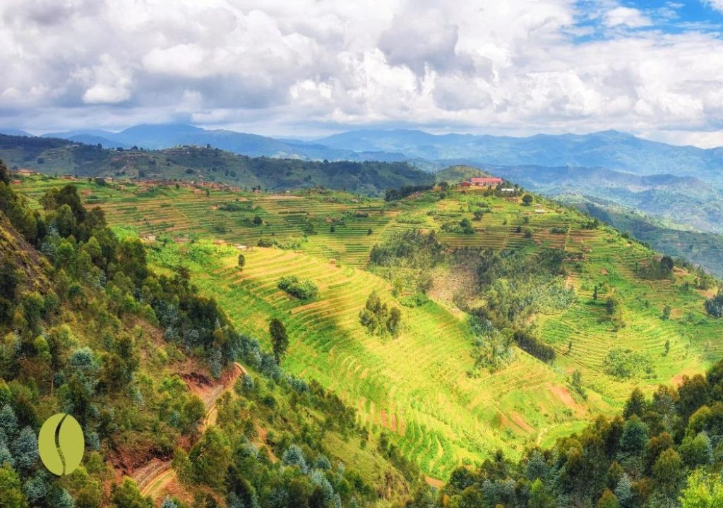 rwanda krajobraz górski